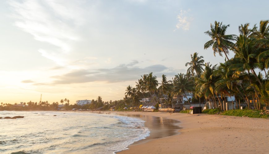 Srilankanvibes - Your trusted partner in exploring Sri Lanka